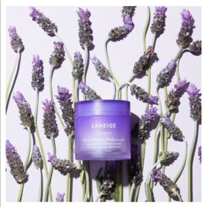 Laneige Water Sleeping Mask (Lavender) 70ml